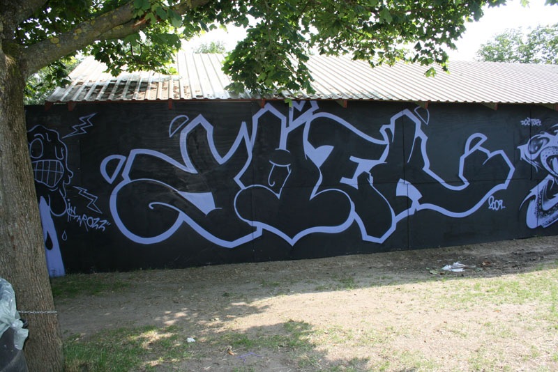 IMG 303