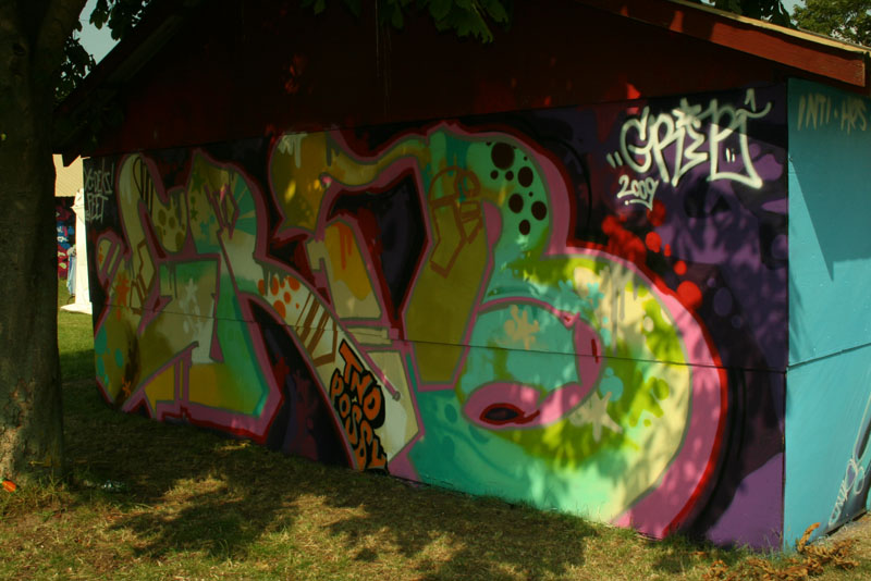 IMG 315