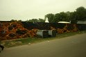 IMG_5323