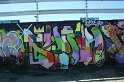 IMG_7229