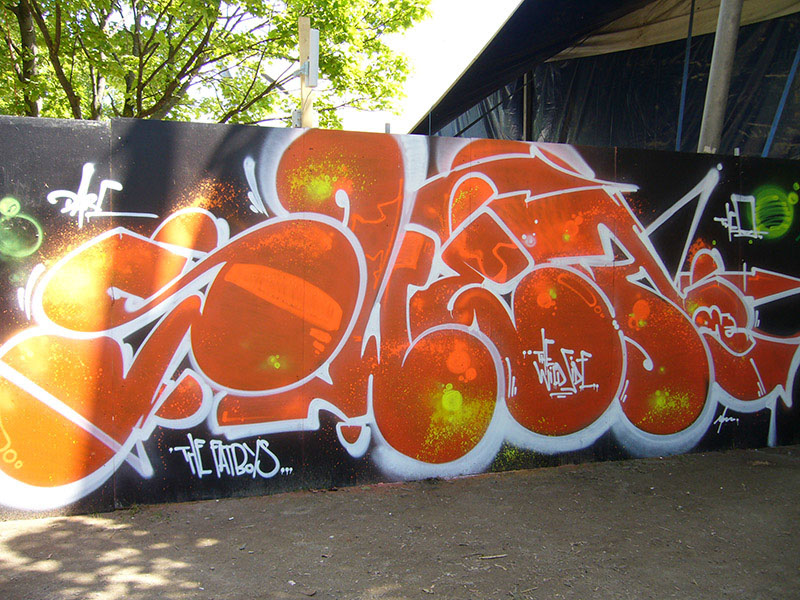 %_tempFileName(0000-00-00%2000-00-00)Panasonic%20DMC-FX8%20(2560x1920)1911296%