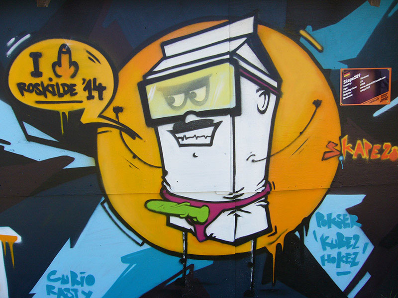 %_tempFileName(0000-00-00%2000-00-00)Panasonic%20DMC-FX8%20(2560x1920)1990400%