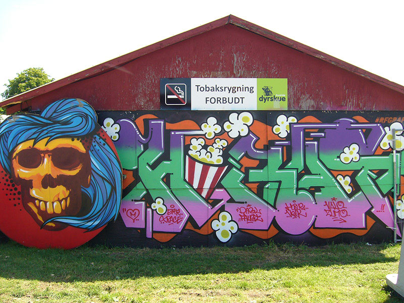 %_tempFileName(0000-00-00%2000-00-00)Panasonic%20DMC-FX8%20(2560x1920)2263424%